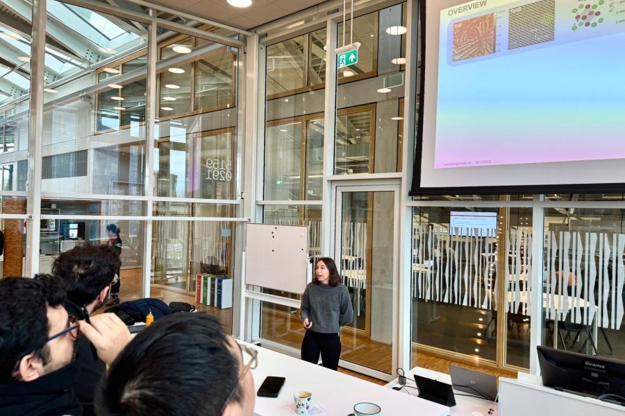 Dr. Damerio delivered an invited seminar at the Zernike Institute for Advanced Materials