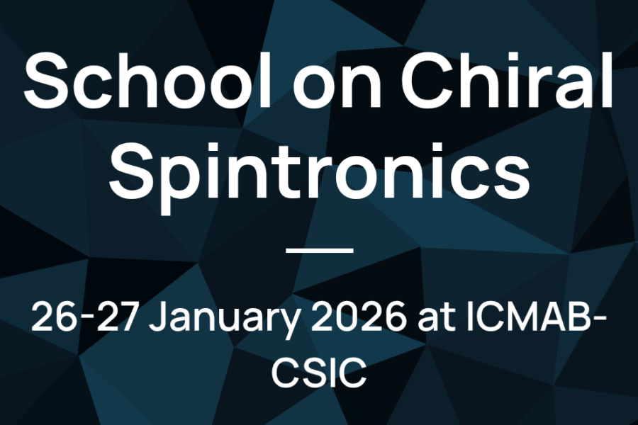 School on Chiral Spintronics